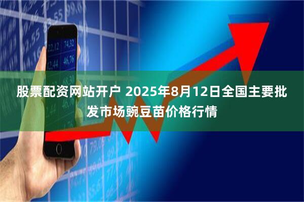 股票配资网站开户 2025年8月12日全国主要批发市场豌豆苗价格行情