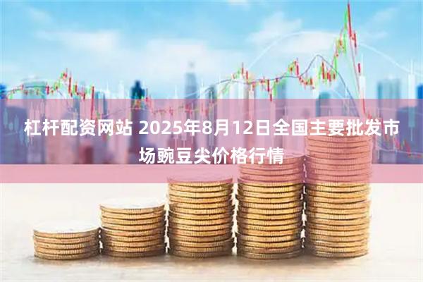 杠杆配资网站 2025年8月12日全国主要批发市场豌豆尖价格行情